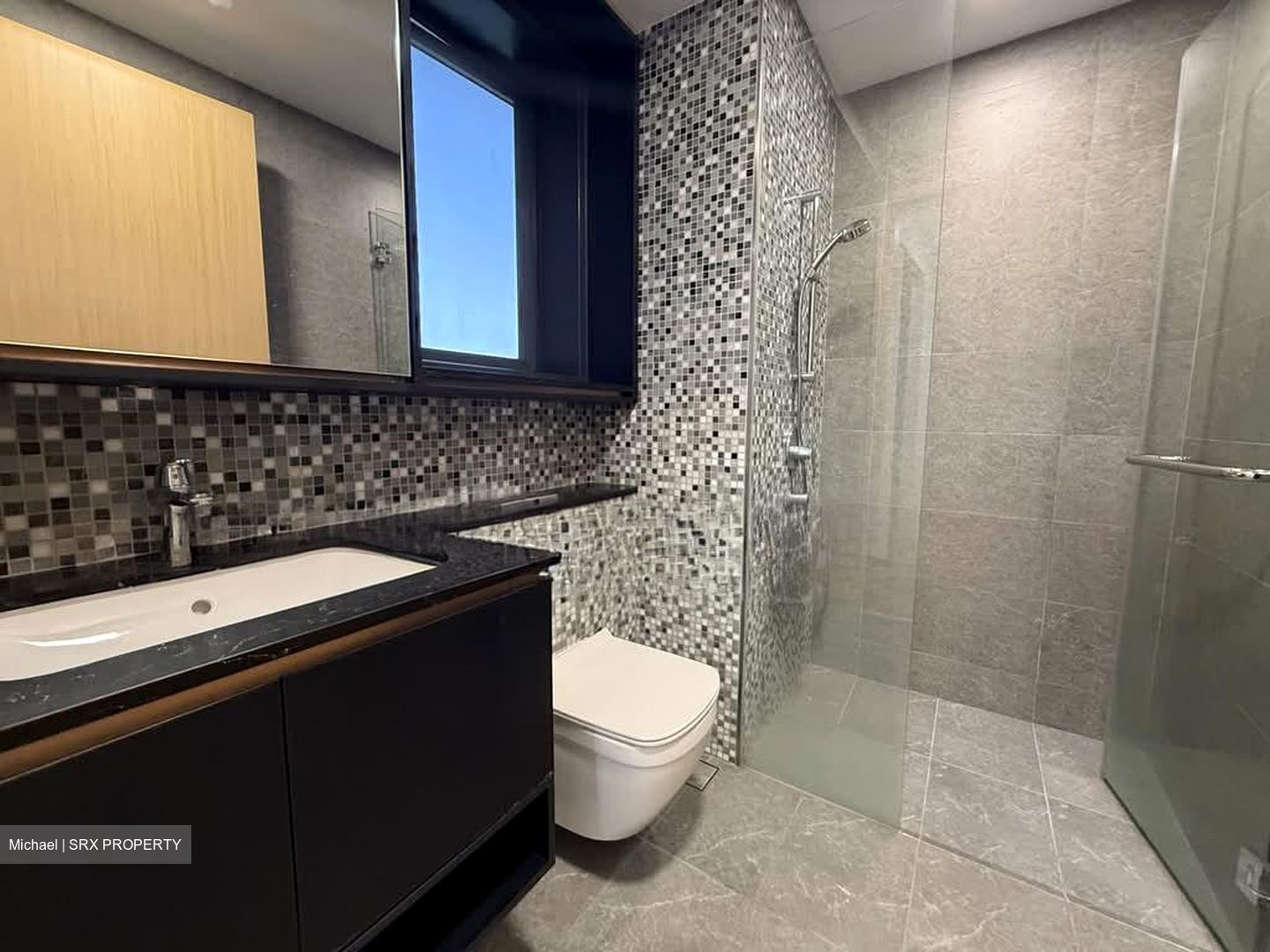 The Antares (D14), Apartment #606459121